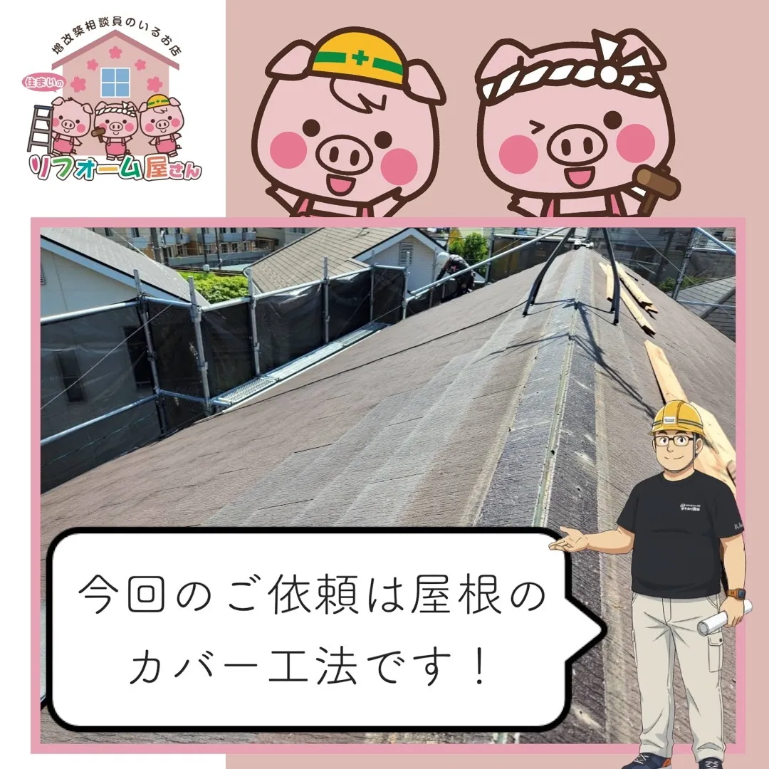 【屋根の上にも、確かな未来を】🏠