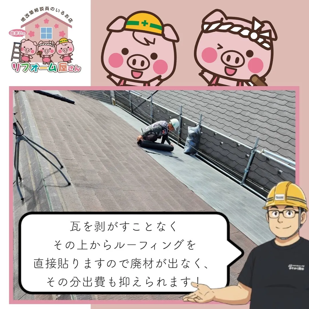 【屋根の上にも、確かな未来を】🏠